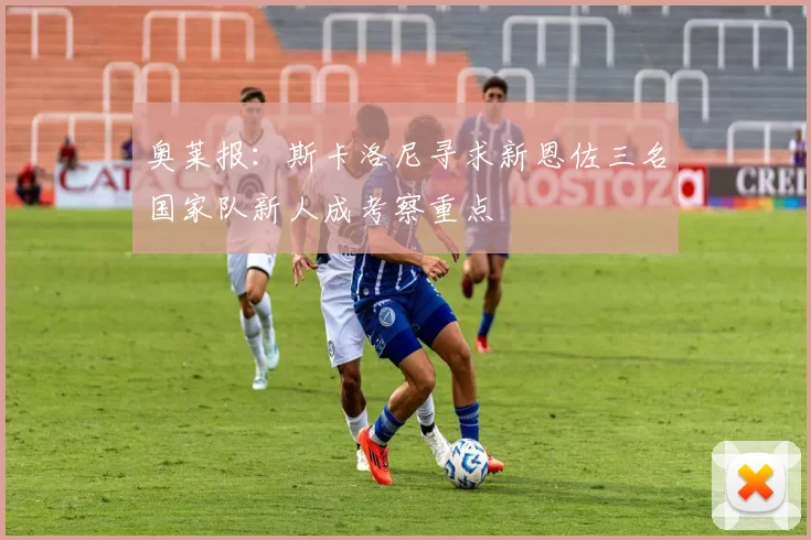 奥莱报：斯卡洛尼寻求新恩佐三名国家队新人成考察重点