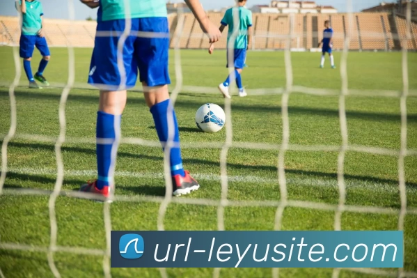 乐鱼体育APP 高清赛事图